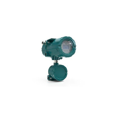 Flexim FLUXUS G831 Gas Ultrasonic