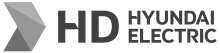 Hyundai Electric