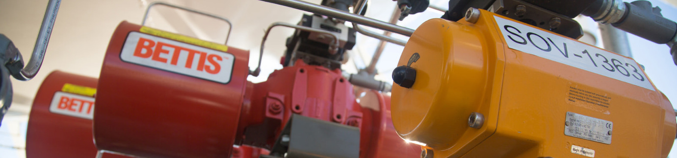 High Integrity Pressure Protection System