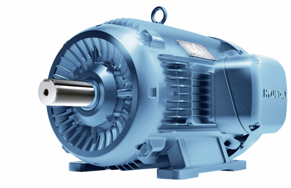 Low-Voltage  Motors 
