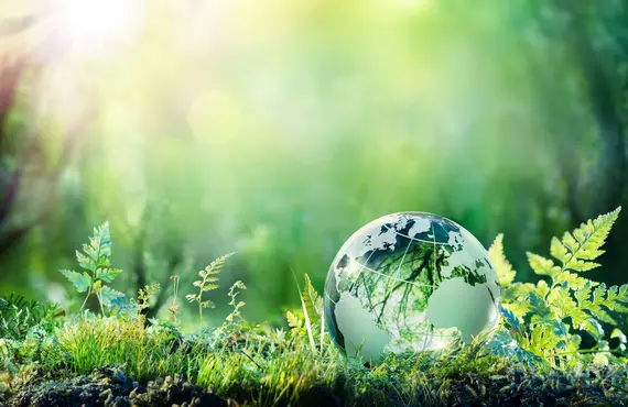 Assess Your Energy Performance