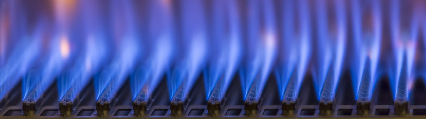 Burner Management Systems