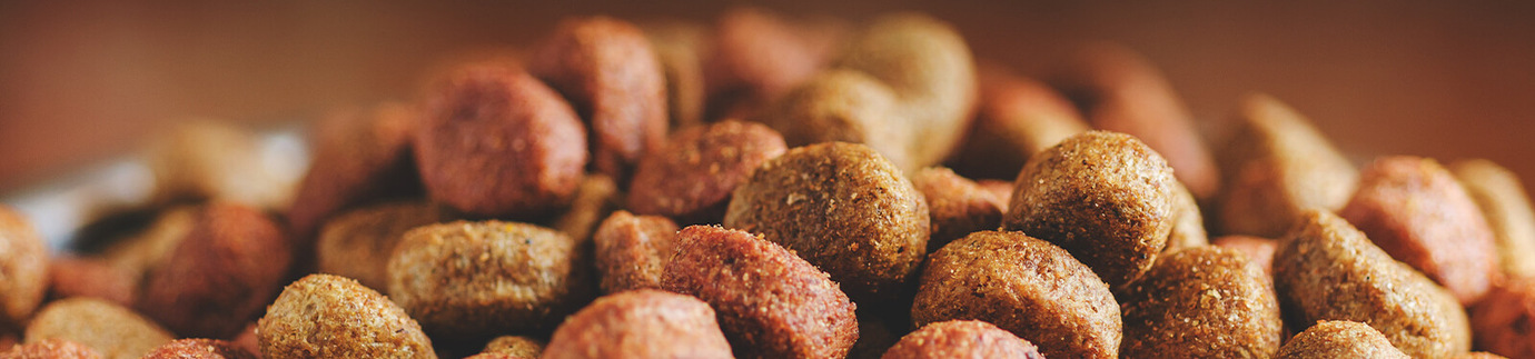 Animal Feed & Pet Care