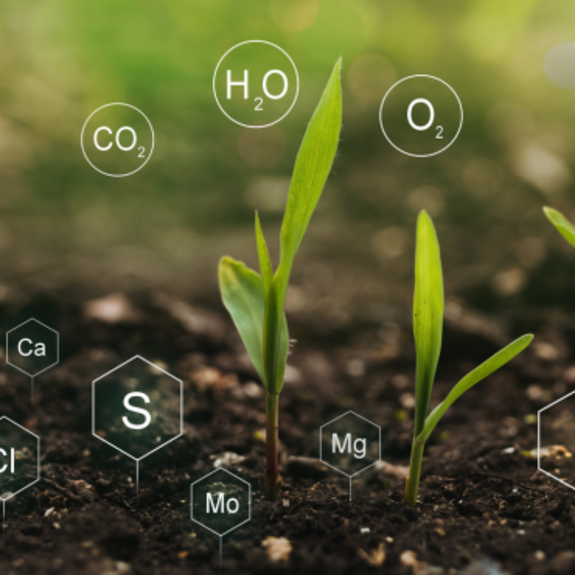 Meeting the Growing Demand: The Role of Fertilizers in Feeding a Growing Population