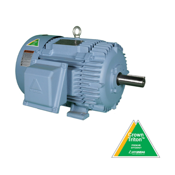 High-Performance Low-Voltage and Medium-Voltage Motors for Industrial Applications