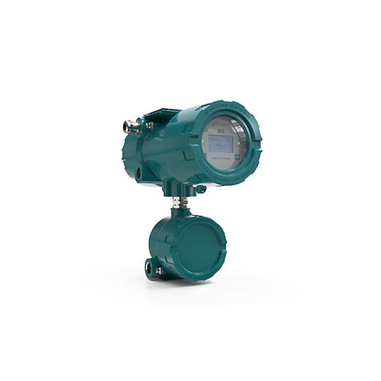 Flexim FLUXUS G831 Gas Ultrasonic