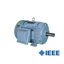 Hyundai IEEE-841 Motors