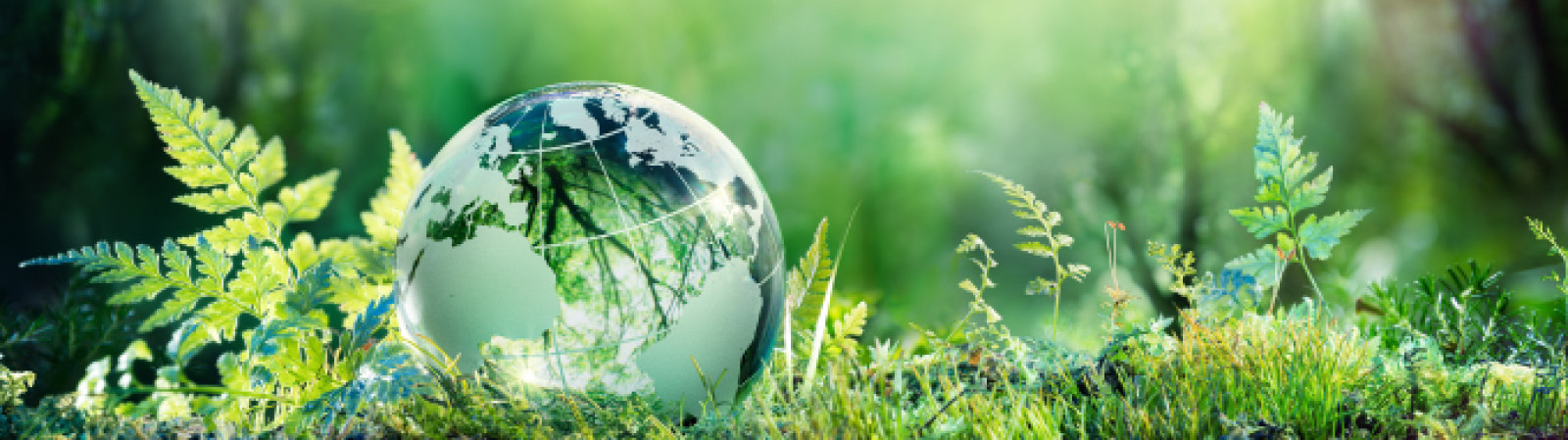 MSAPR - Multi-Sector Air Pollutants Regulations