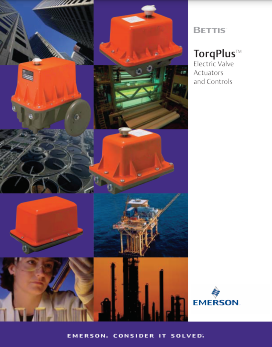 TorqPlus Controls & Options