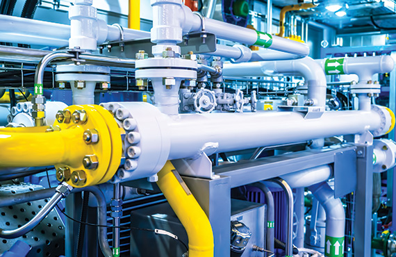 Assessments & Optimization