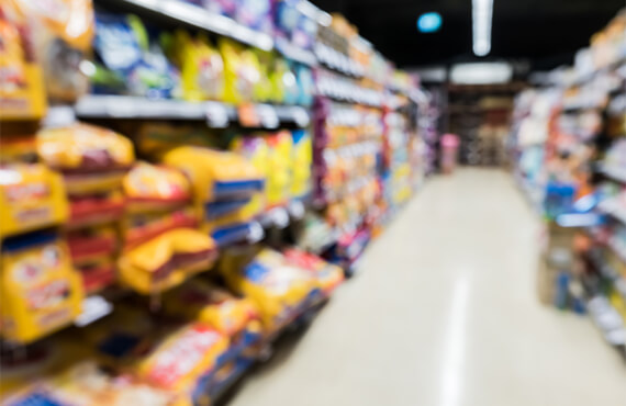 Increase production or realize process efficiencies, for upgrades or expansions, to existing pet food manufacturing facilities.