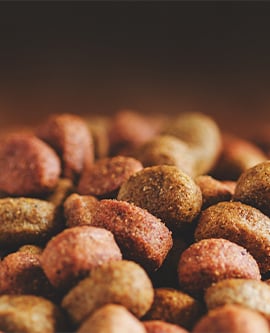 Animal Feed & Pet Care