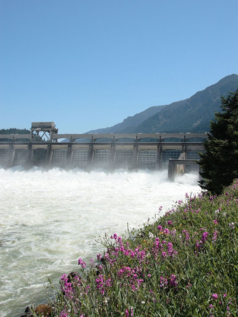 Fewer Shutdowns, Faster Startups and Efficient Load Dispatch