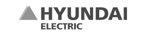 Hyundai Electric