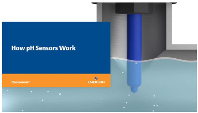 How pH Sensors Work