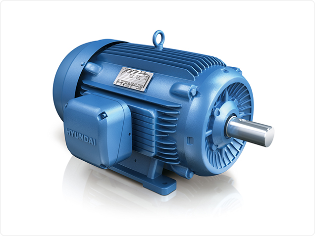 Hyundai Crown Triton Motors