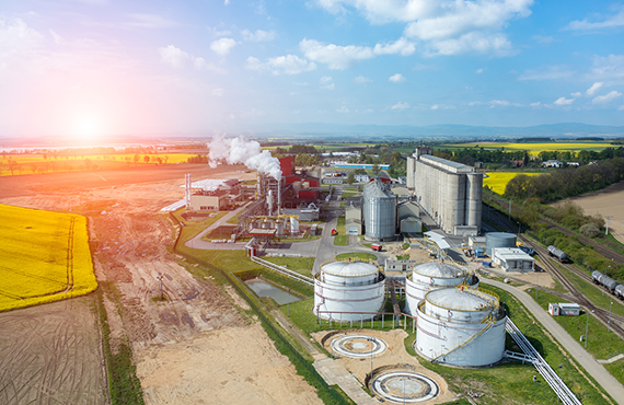 Production Efficiency