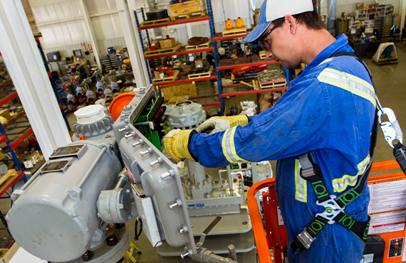 Start-up Services Start-up Services